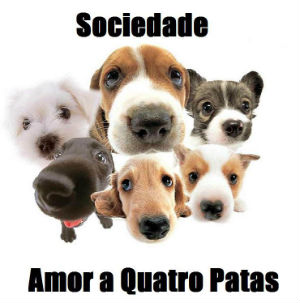 Sociedade Amor a Quatro Patas